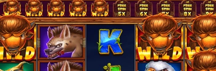 beta slots