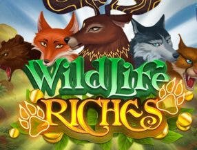 happy slots lucky game