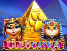 plataforma nova pagando fortune tiger